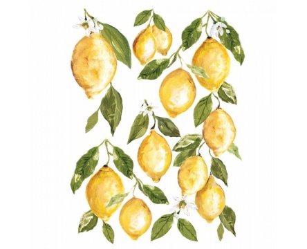 Lemon Drops (IOD)