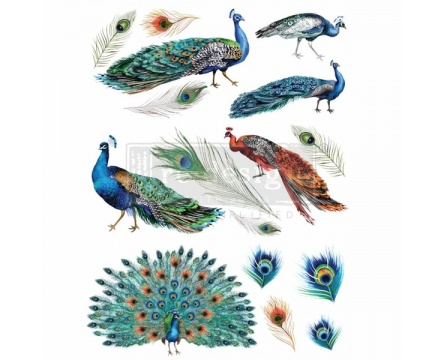 Peacock Dreams (Re-design)