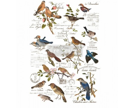 Postal Birds (Re-design)