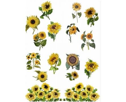 Sunflower (Belles & Whistles)