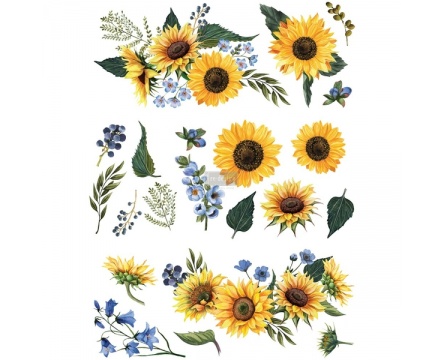 Sunflower Fields (Re-design)