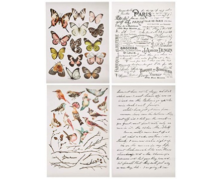 Parisian Butterflies (Redesign)