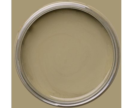Dixie Belle Chalk Mineral Paint Thicket