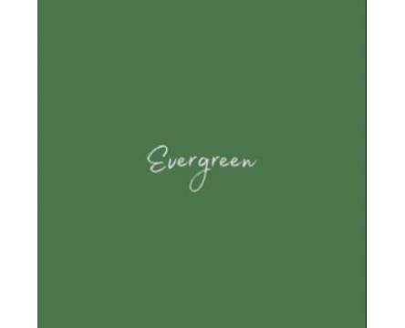 Evergreen (Dixie Belle Chalk Mineral Paint)