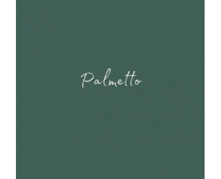 Palmetto (Dixie Belle Chalk Mineral Paint)