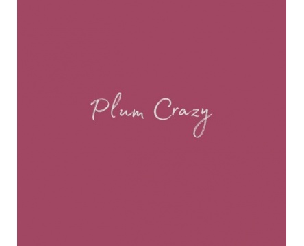 Plum Crazy (Dixie Belle Chalk Mineral Paint)